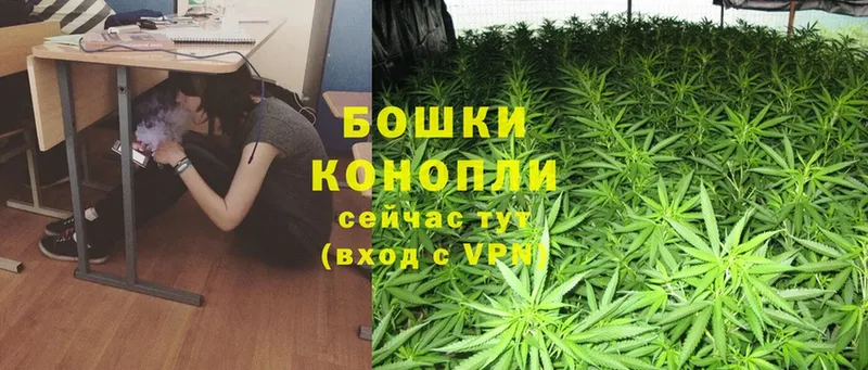 цена   Луза  Бошки марихуана SATIVA & INDICA 